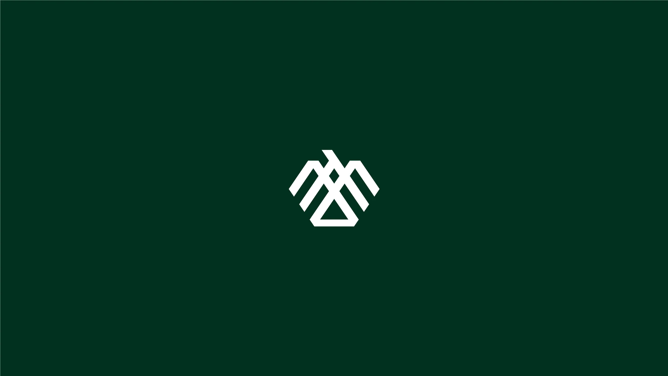 HAMH brand identity 7